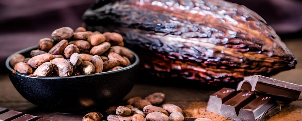 how to select quality cocoa beans